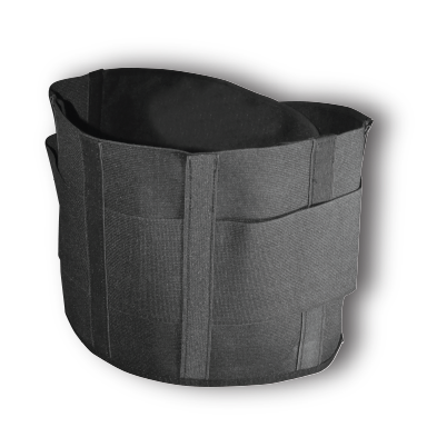 Back Support